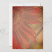 Orange Sunflower Flower Bridal Shower 招待状 (裏面)