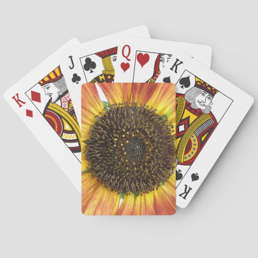 Orange Sunflower Playing Cards トランプ (裏面)