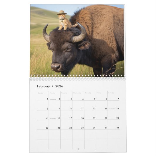 Orange Tabby Calendar カレンダー (2月 2026)