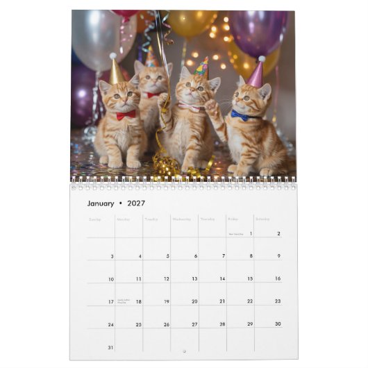 Orange Tabby Calendar カレンダー (1月 2027)