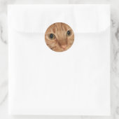 Orange Tabby Catプロフィール顔クローズアップ ラウンドシール (バッグ)