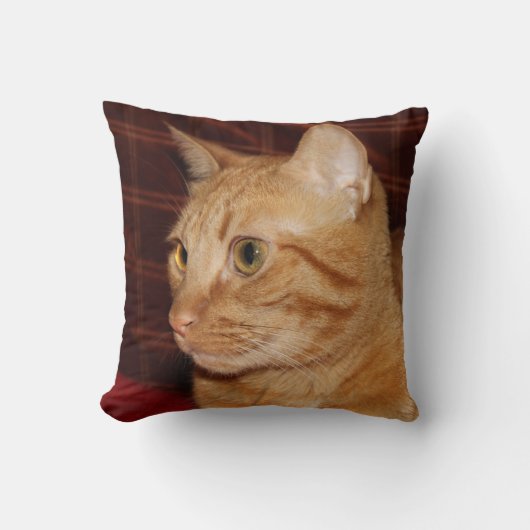 Orange Tabby Cat顔プロフィール クッション (正面)