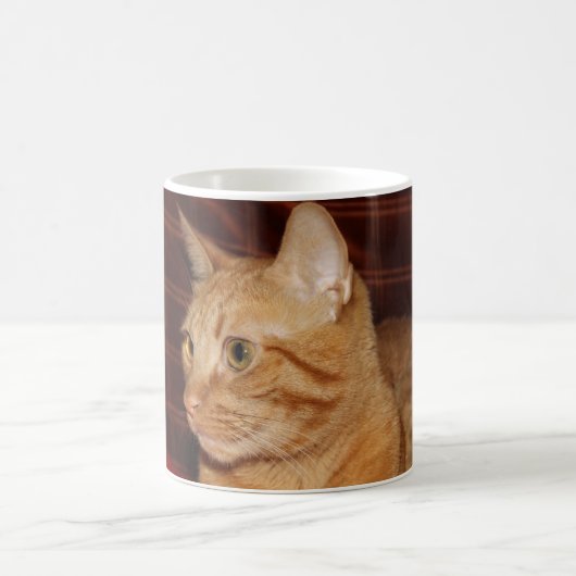 Orange Tabby Cat顔プロフィール コーヒーマグカップ (中央)