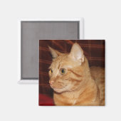 Orange Tabby Cat顔プロフィール マグネット (正面/裏面)