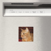 Orange Tabby Cat顔プロフィール マグネット (インサイチュ (食洗機))