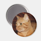 Orange Tabby Cat顔プロフィール マグネット (正面/裏面)