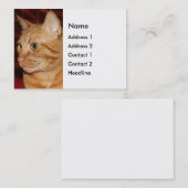 Orange Tabby Cat顔プロフィール 名刺 (正面/裏面)