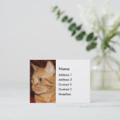 Orange Tabby Cat顔プロフィール 名刺 (スタンド正面)
