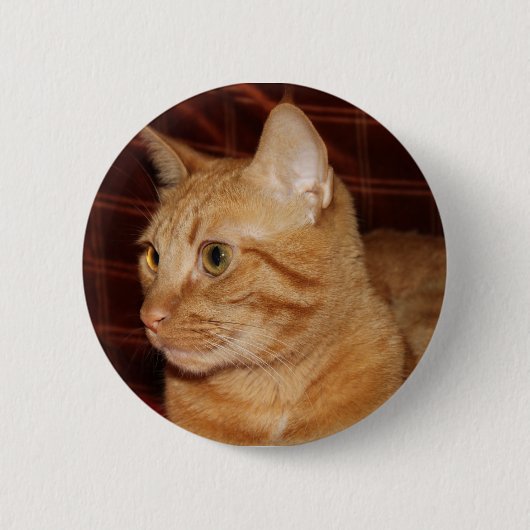 Orange Tabby Cat顔プロフィール 缶バッジ (正面)
