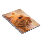 Orange Tabby Cat Notebook Curious Feline Notebook ノートブック (右側)