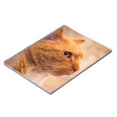 Orange Tabby Cat Notebook Curious Feline Notebook ノートブック (左側)