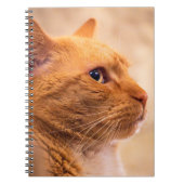 Orange Tabby Cat Notebook Curious Feline Notebook ノートブック (正面)