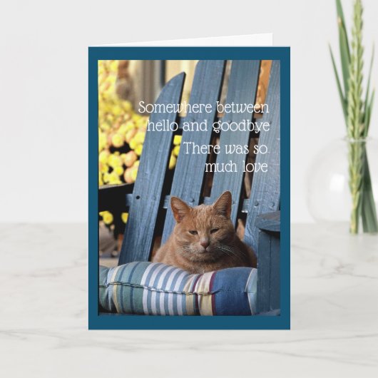 Orange Tabby Cat on Blue Chair  Card カード (正面)