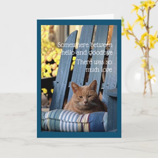 Orange Tabby Cat on Blue Chair  Card カード (黄色い花)