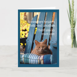 Orange Tabby Cat on Blue Chair Card カード