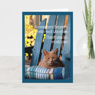 Orange Tabby Cat on Blue Chair  Card カード