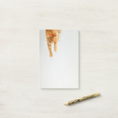 Orange Tabby Cat Post-it®メモ4 x 6 ポストイット (デスク上)