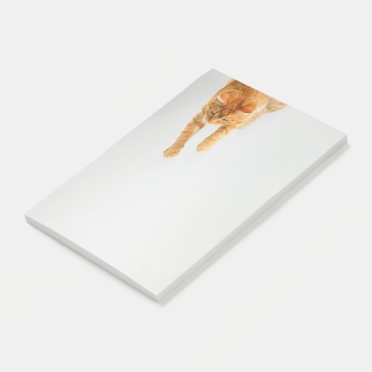 Orange Tabby Cat Post-it®メモ4 x 6 ポストイット (アングル)