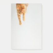 Orange Tabby Cat Post-it®メモ4 x 6 ポストイット (正面)