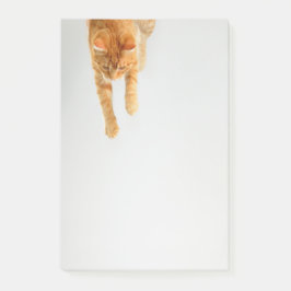 Orange Tabby Cat Post-it®メモ4 x 6 ポストイット