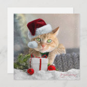 Orange Tabby FLAT 5.25-inch Christmas Card シーズンカード (正面/裏面)