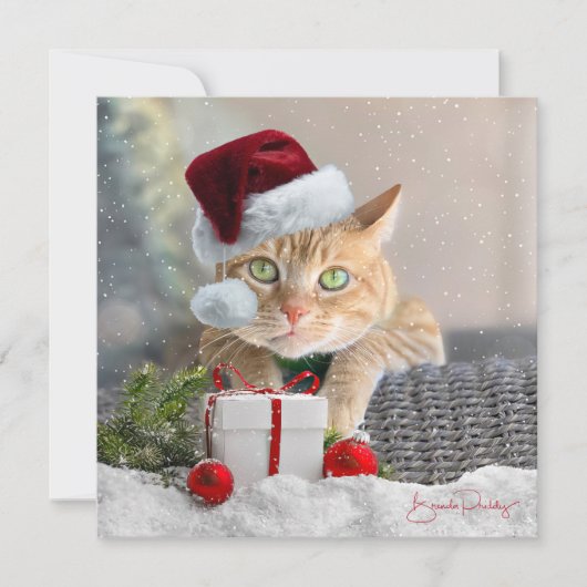 Orange Tabby FLAT 5.25-inch Christmas Card シーズンカード (正面)