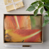 Orange Tiger Lily 薄葉紙 (ギフト)