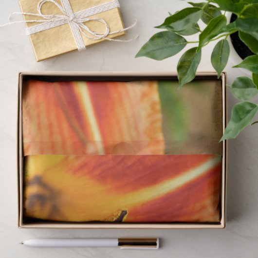 Orange Tiger Lily 薄葉紙 (ギフト)