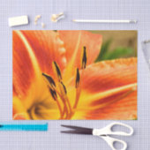 Orange Tiger Lily 薄葉紙 (クラフト)
