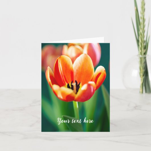 Orange Tulip カード (正面)