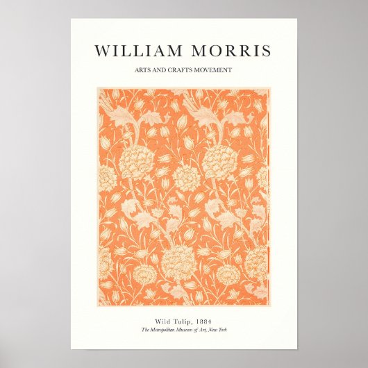 Orange Tulip ポスター (正面)