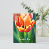 Orange Tulip Postcard シーズンポストカード (スタンド正面)