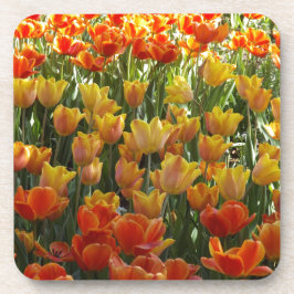 Orange-&-Yelow-Tulips.jpg コースター