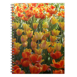 Orange-&-Yelow-Tulips.jpg ノートブック