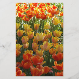 Orange-&-Yelow-Tulips.jpg 便箋