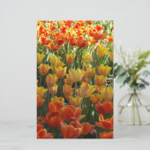Orange-&-Yelow-Tulips.jpg 便箋 (スタンド正面)