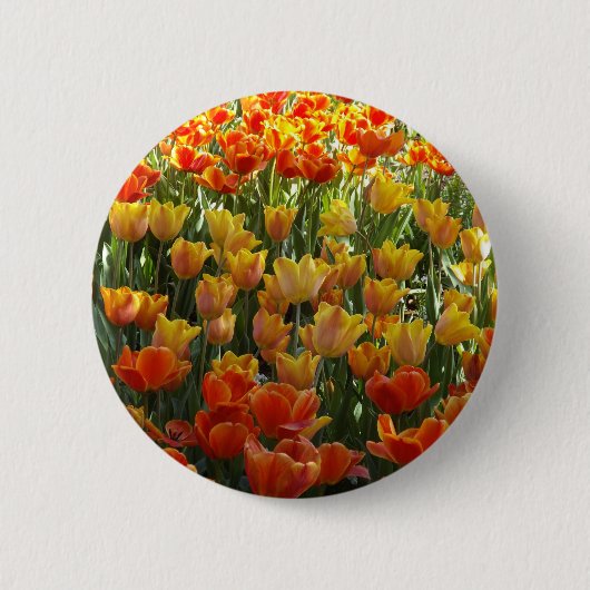 Orange-&-Yelow-Tulips.jpg 缶バッジ (正面)