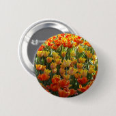 Orange-&-Yelow-Tulips.jpg 缶バッジ (正面&裏面)