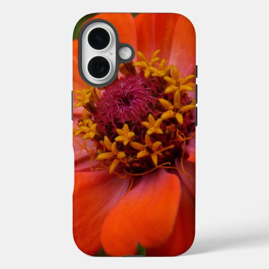 Orange Zinnia Wildflower Nature Floral Case-Mate iPhoneケース (裏面)