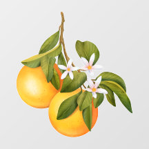 Oranges and Blossoms on a Branch Market