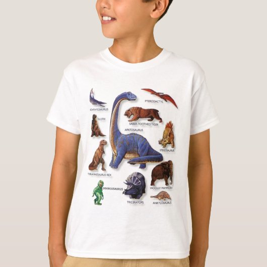 ORANGOSAURUS CHART Tシャツ (正面)