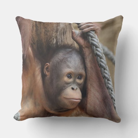 OrangUtan 002 クッション (正面)