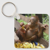 Orangutan Babies キーホルダー (正面)
