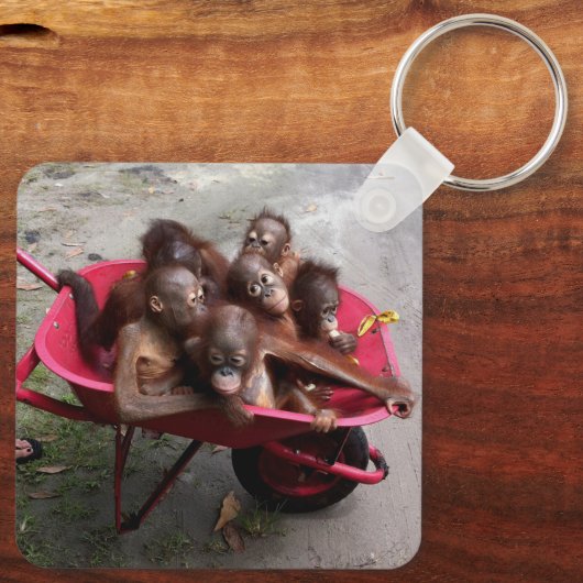 Orangutan Babies キーホルダー (裏面)