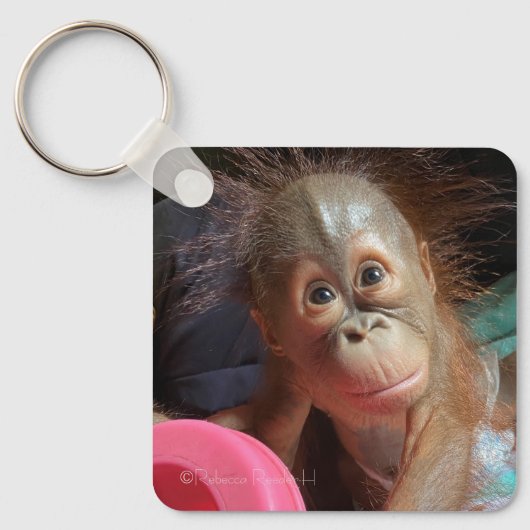 Orangutan Baby  キーホルダー (正面)