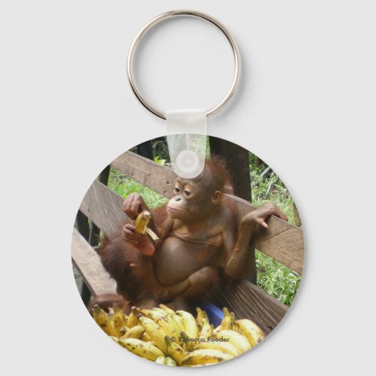 Orangutan Baby in BorneoButton Keychain キーホルダー (正面)