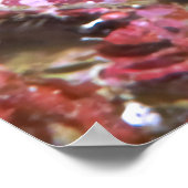 Orangutan Crab ポスター (角)