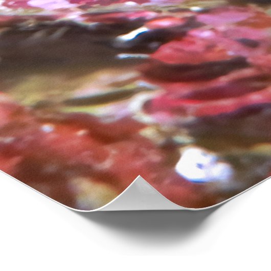 Orangutan Crab ポスター (角)