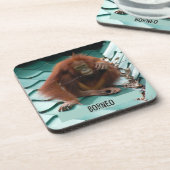 Orangutan on Roof at Sepilok in Borneo Photograph コースター (左側)