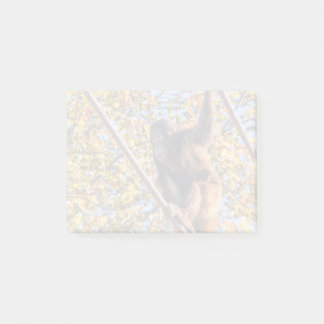 Orangutan Redd国立動物園ポストイットノート ポストイット